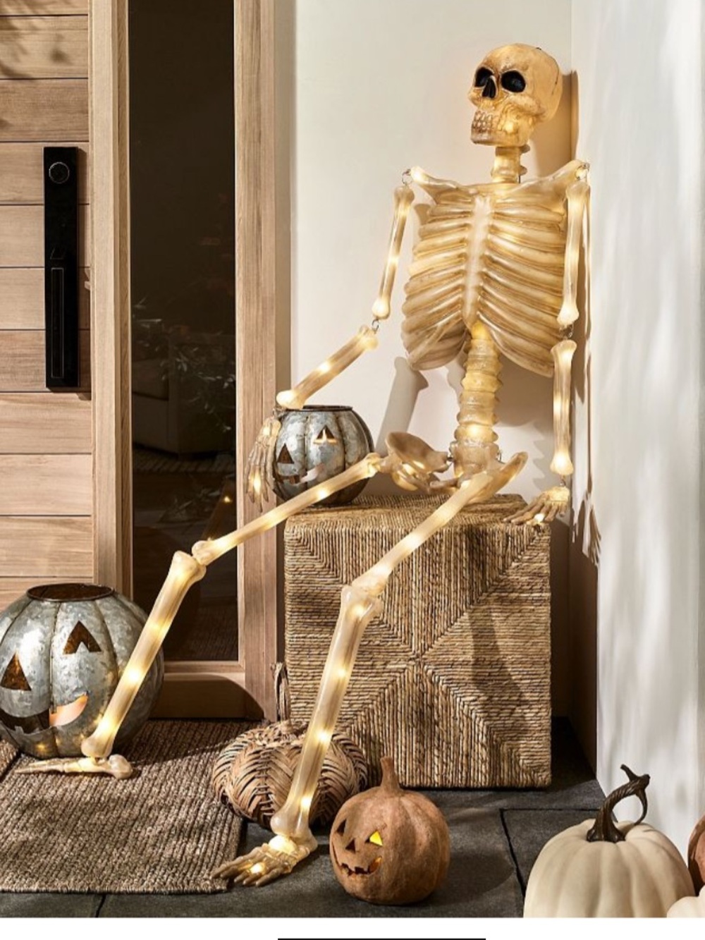 Pottery Barn TN 6’ Halloween Natural Skeleton (New)